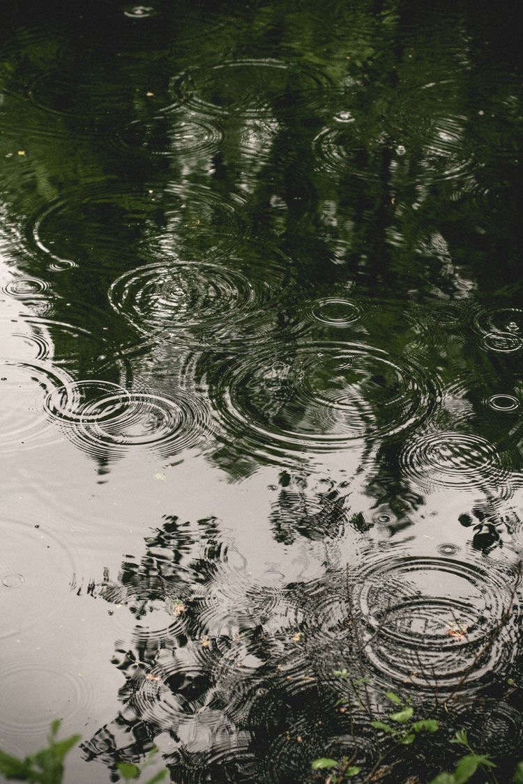 вода и круги на воде